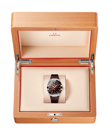 Constellation 41 mm Stainless Steel – Leather Strap